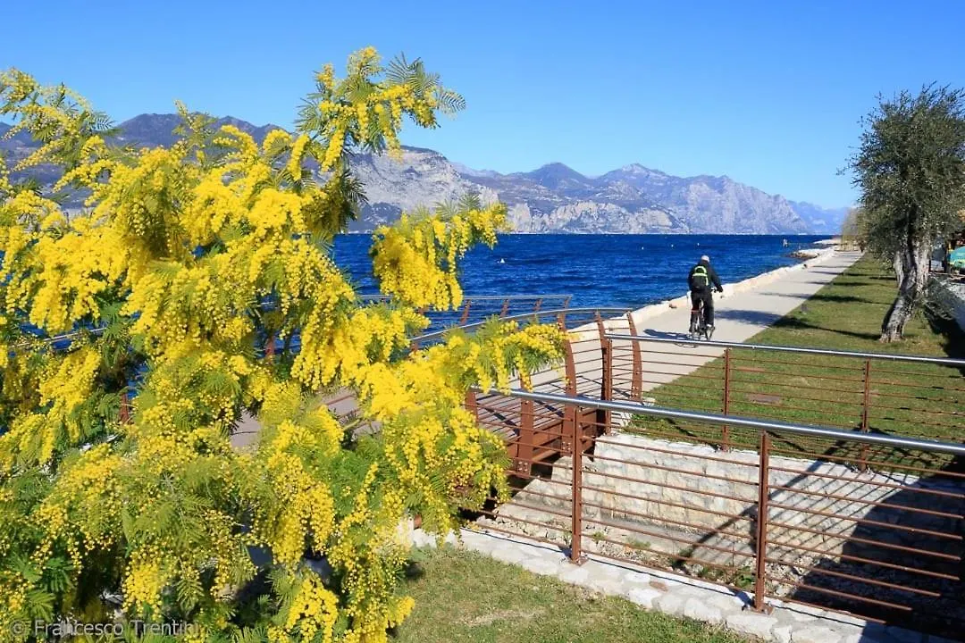 Apartamento Appartamento Alla Playa Brenzone sul Garda Italia